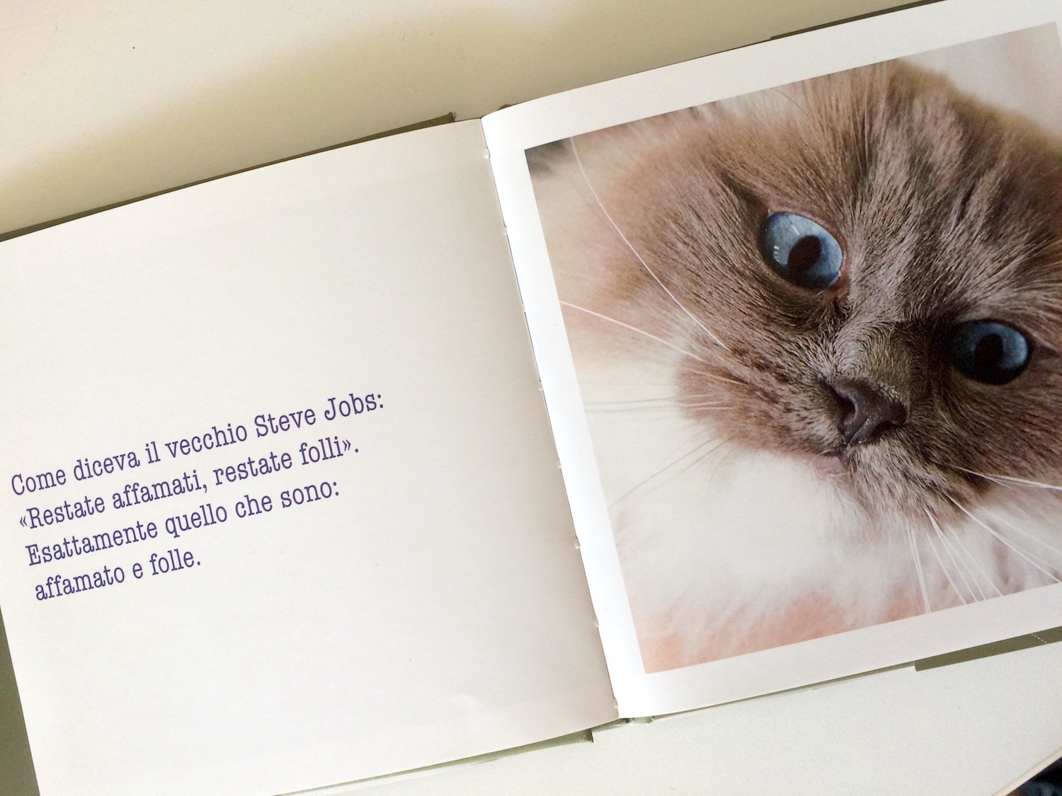 Libri da colorare per bambini di 2 anni (Gatti): Questo libro